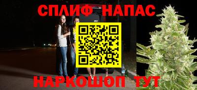 крисы Балаково