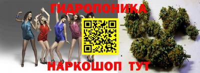 крисы Балаково