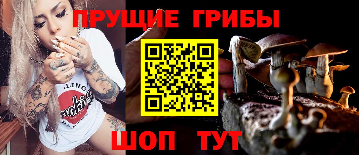 Галлюциногенные грибы GOLDEN TEACHER Верхняя Салда