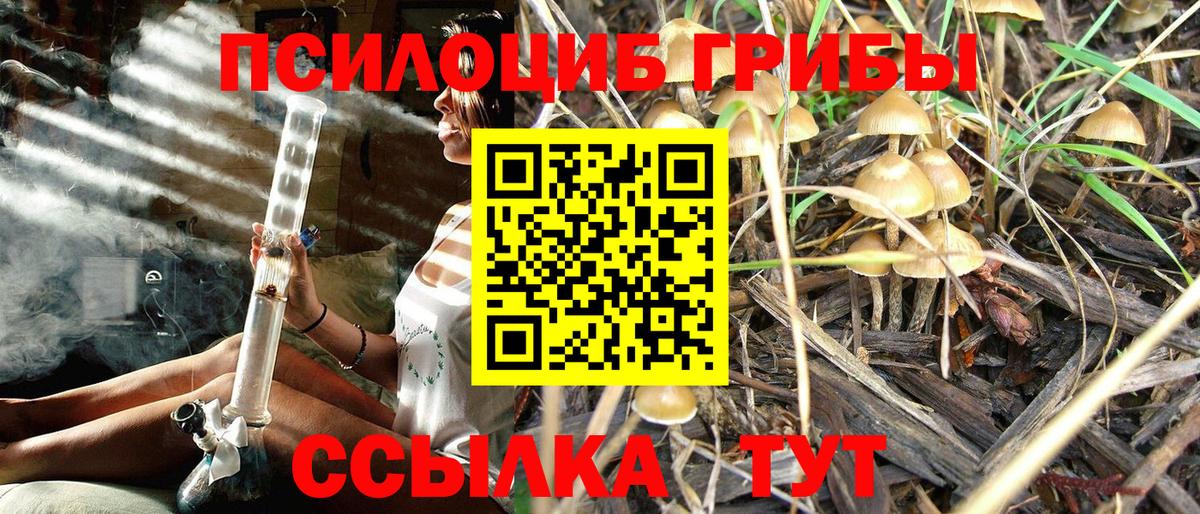 Верхняя Салда  Псилоцибиновые грибы Magic Shrooms  Вход с VPN  Псилоцибиновые грибы MAGIC MUSHROOMS 